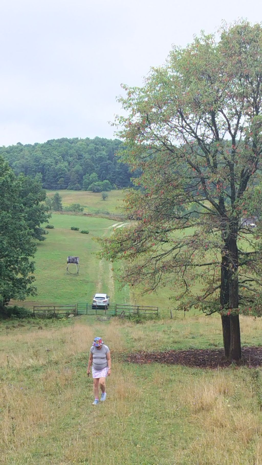 Day 2: Visiting the&nbsp;Ancestors